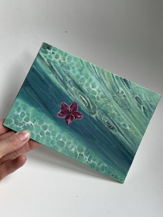 Hibiscus Turquoise Water Mini