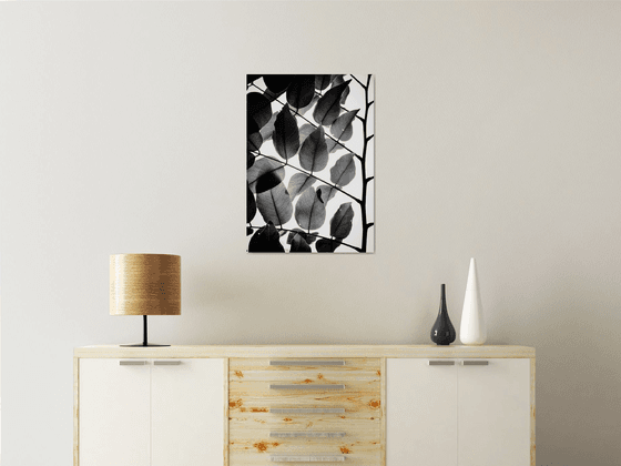 Branches and Leaves II | Limited Edition Fine Art Print 1 of 10 | 40 x 60 cm