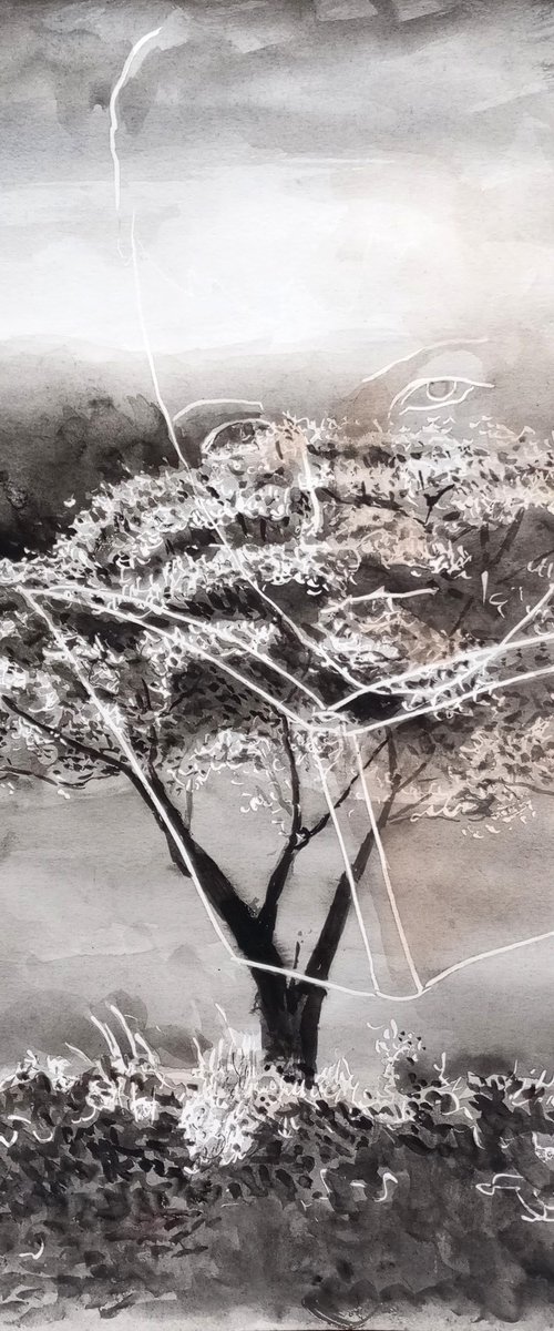 The plot by paolo beneforti