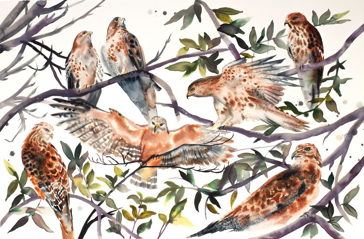 Expressive Animal Watercolour By Elizabeth Becker, 40 X 26, Red-Tailed Hawks, Original Artwork
