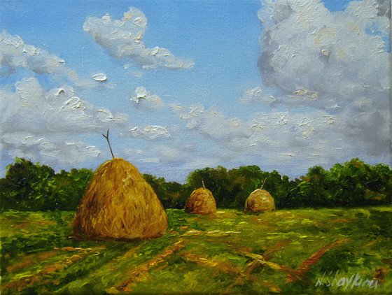 Country Hay Field Landscape