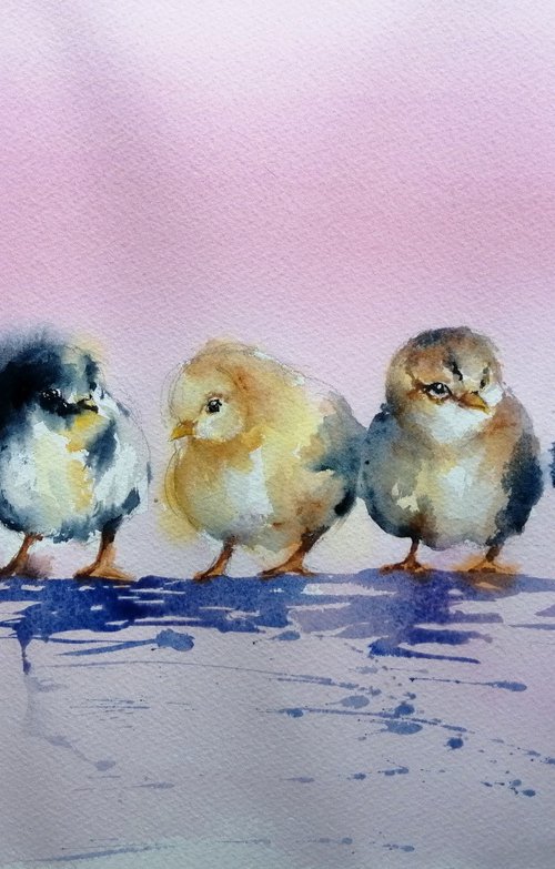 chicks by Giorgio Gosti