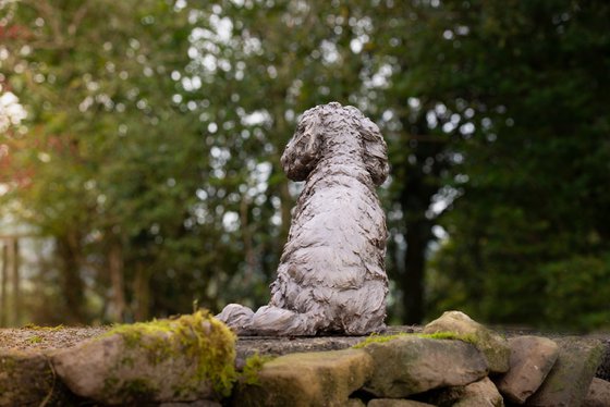 Cavapoo Foundry Bronze Sculpt