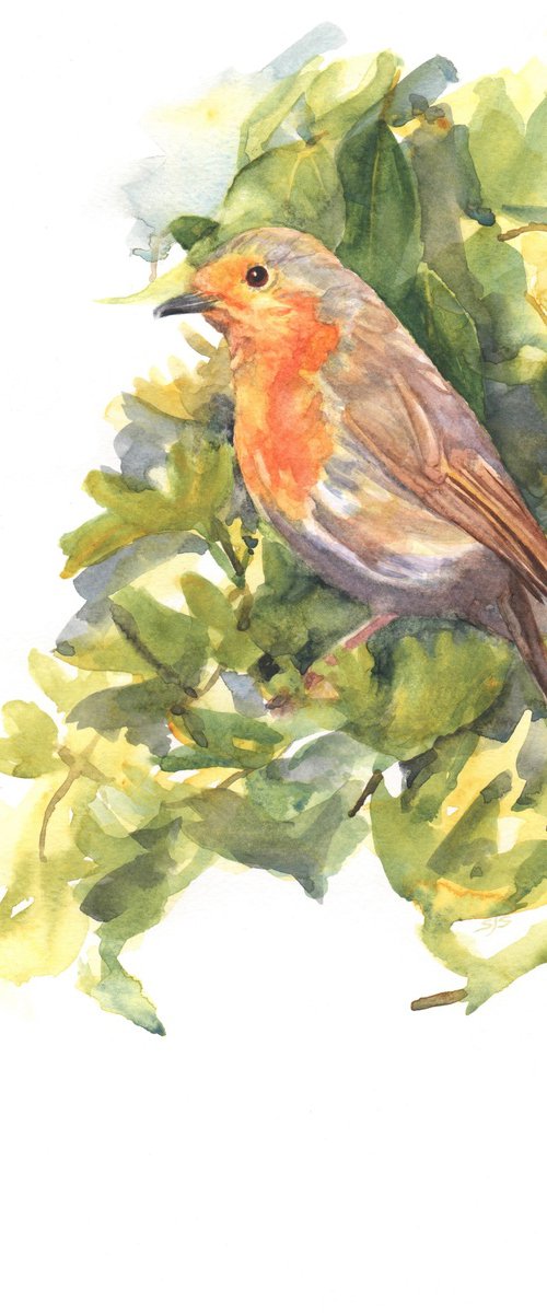Robin Redbreast in Springtime by Sarah Stowe