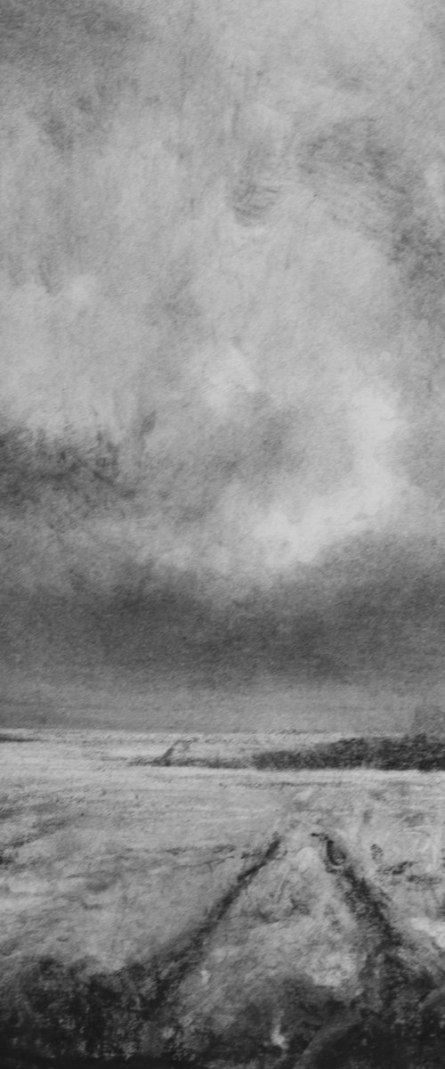 FIELDS OF WHEAT by Colin Slater