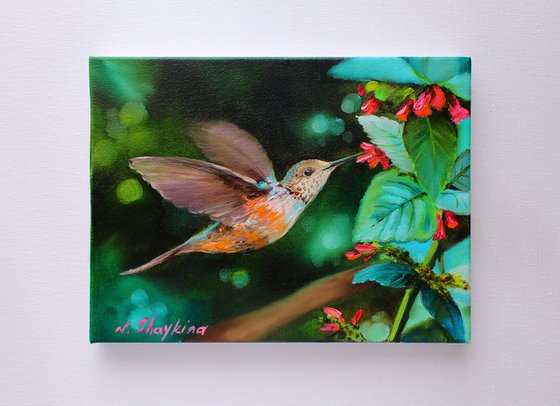 Hummingbird and Red Flowers