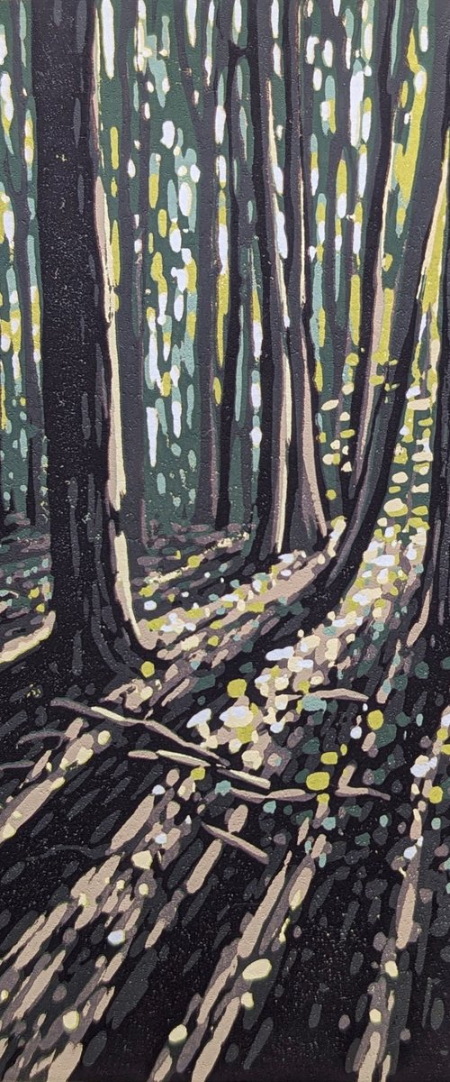 Summer Woodland Sun by Alexandra Buckle