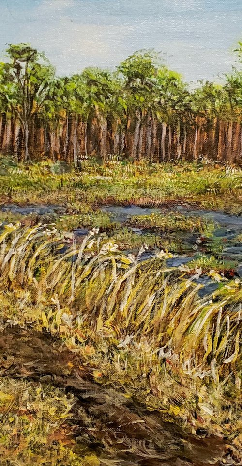 Pine Glades Nature Area Plein Air by Robbie Potter