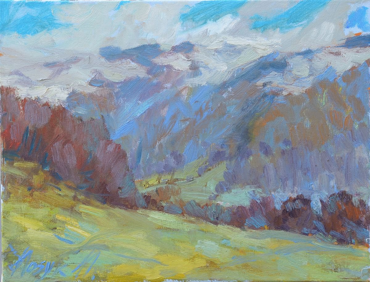 Cloudy mountain OIL PAINTING ON CANVAS by Nataliia Nosyk