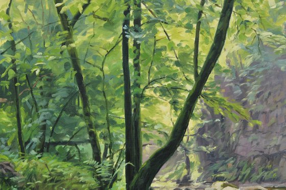 Morning Light On The Sumène