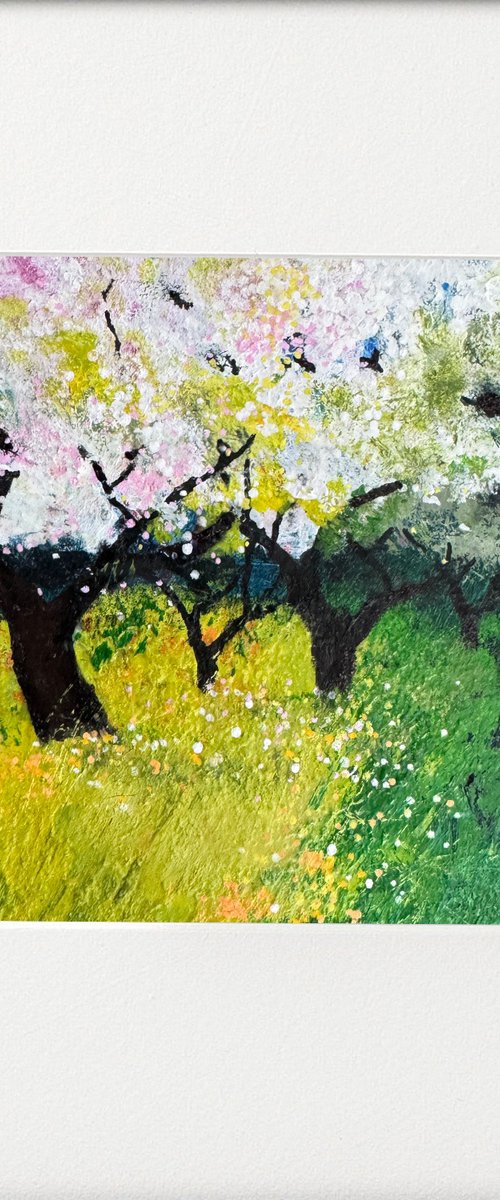 Pink Blossom Springtime by Teresa Tanner