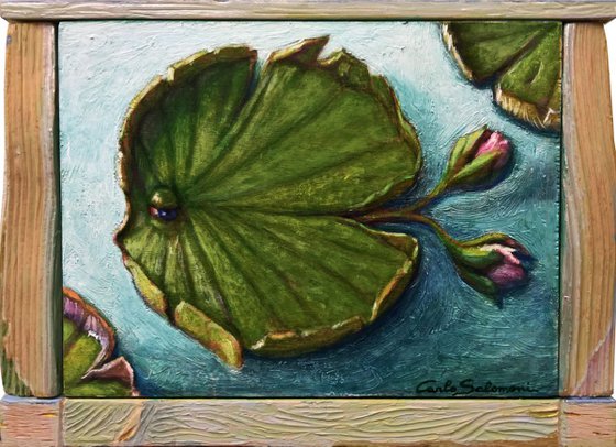 THE WATER LILY FISH - ( framed )