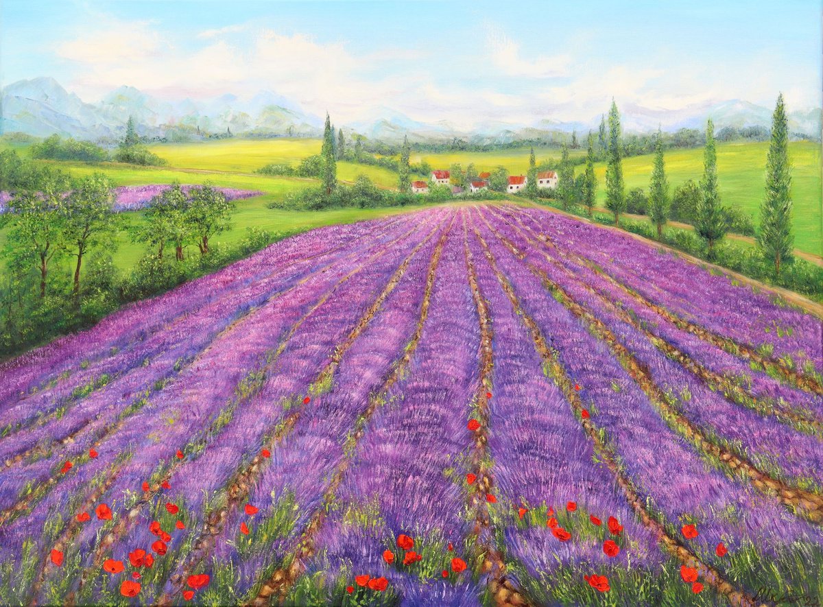Lavender field 3 by Ludmilla Ukrow