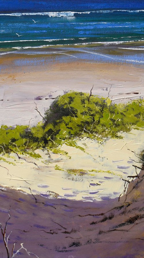 Australian Sandy  Beach dunes by Graham Gercken