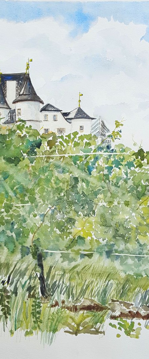 Schloss Berg among the Vineyards by Morag Paul