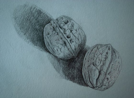Wallnut Still Life I