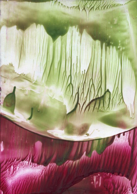 The Dreams Of Nature