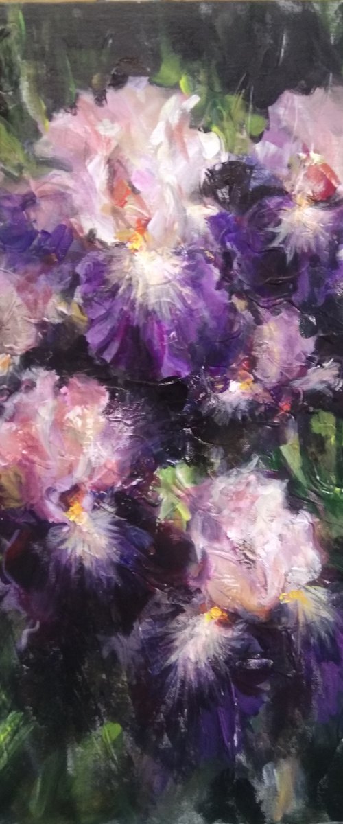 Garden Irises by HELINDA (Olga Müller)