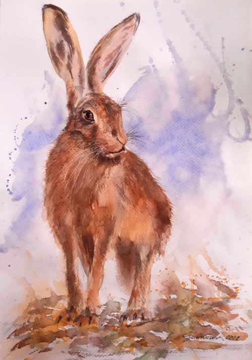Hare II /  ORIGINAL WATERCOLOR  PAINTING by Salana Art Gallery