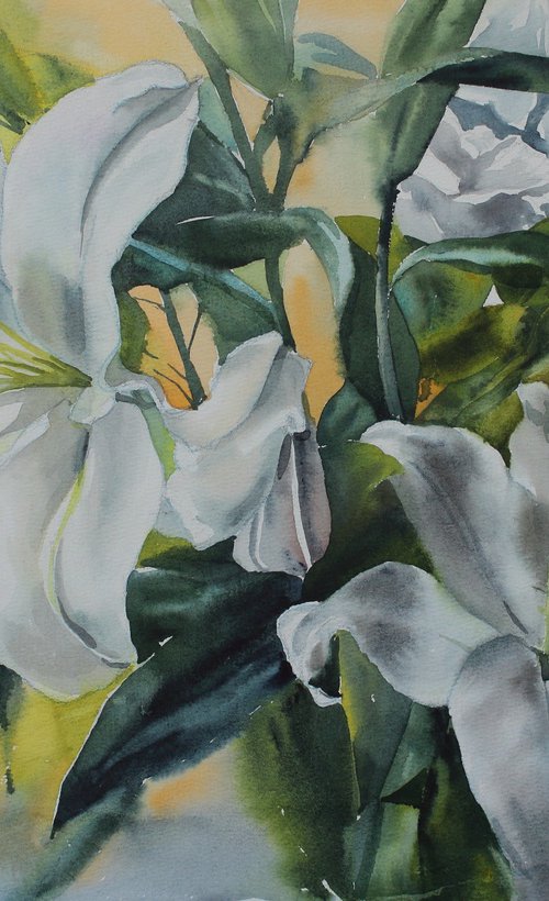 WHITE LILIES #6 by Yurii Pashkov