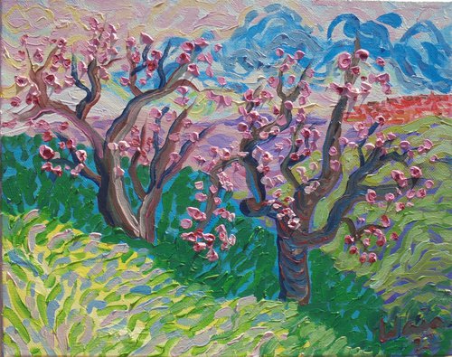 Almond trees in blossom by Kirsty Wain