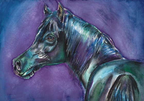 Violet Arabian Horse
