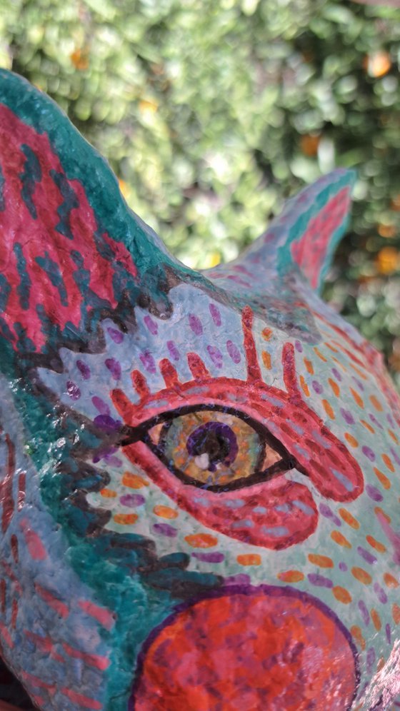 Silly cat, what are they feeding you?