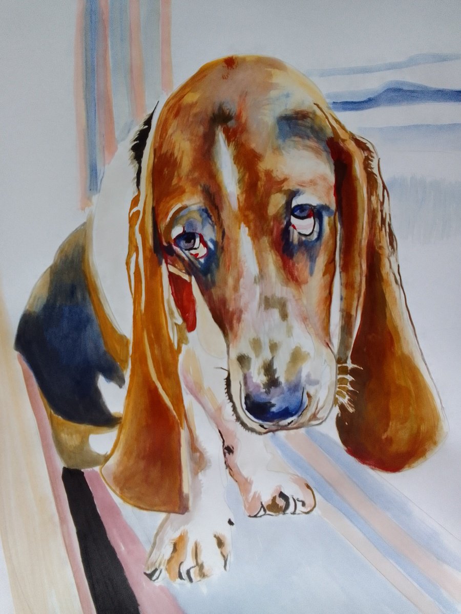 Photorealistic Animal Acrylic Painting By Soso Kumsiashvili, 24 X 33", Bassethound, Original Artwork
