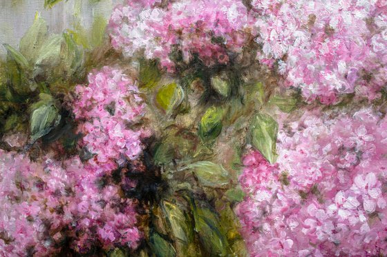 Pink Breath of Summer