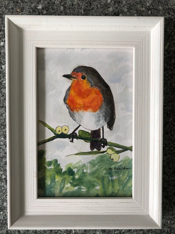 Robin in treetops