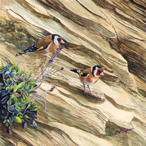 Goldfinches by D. P. Cooper