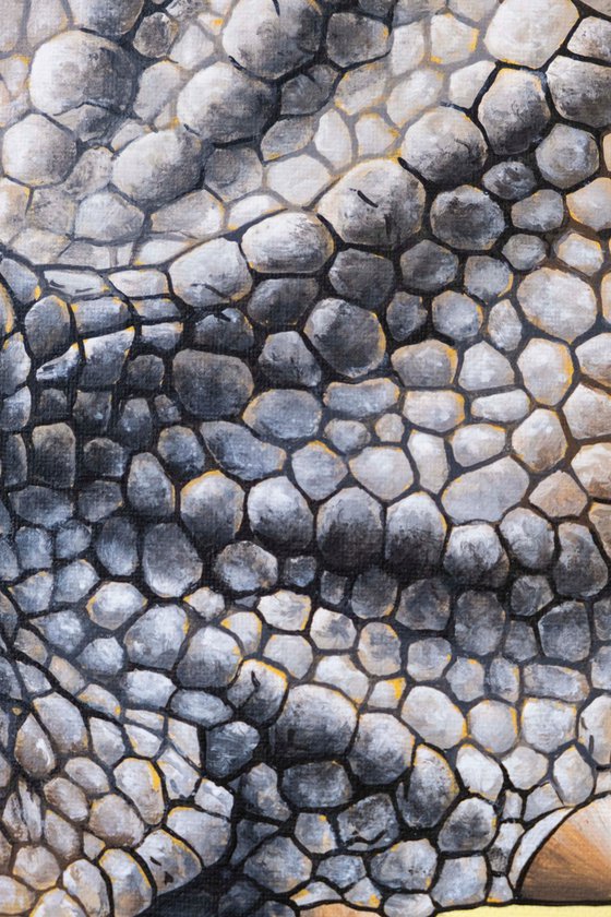Tripoweratops
