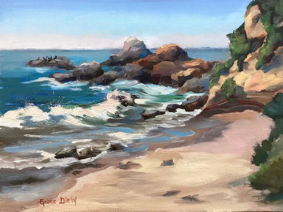 Rhythms of the Shore