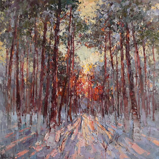 Winter Pine Forest at Sunset