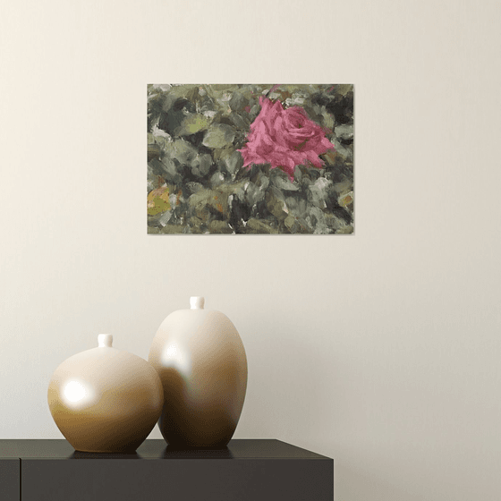 Study of a Pink Rose
