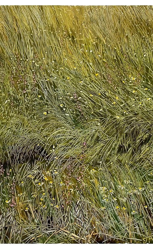 wildflowers and grasses by Maija Nochevnaya