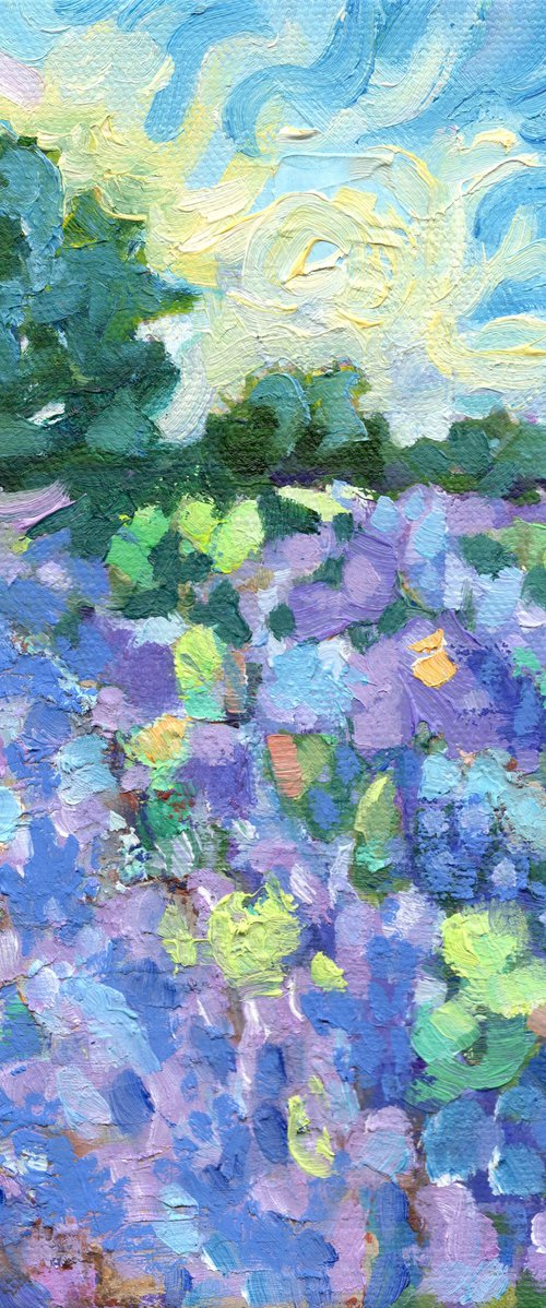 Lavender Landscape - Norfolk by Mary Kemp