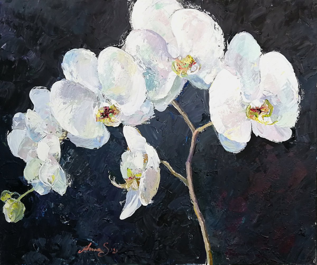 Orchids by Anna Silabrama