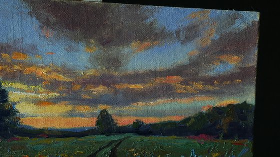 Sunset Over Wildflowers Field - summer landscape painting