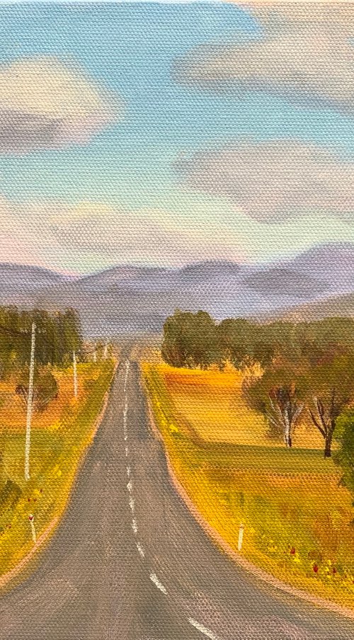 On the road by Shelly Du