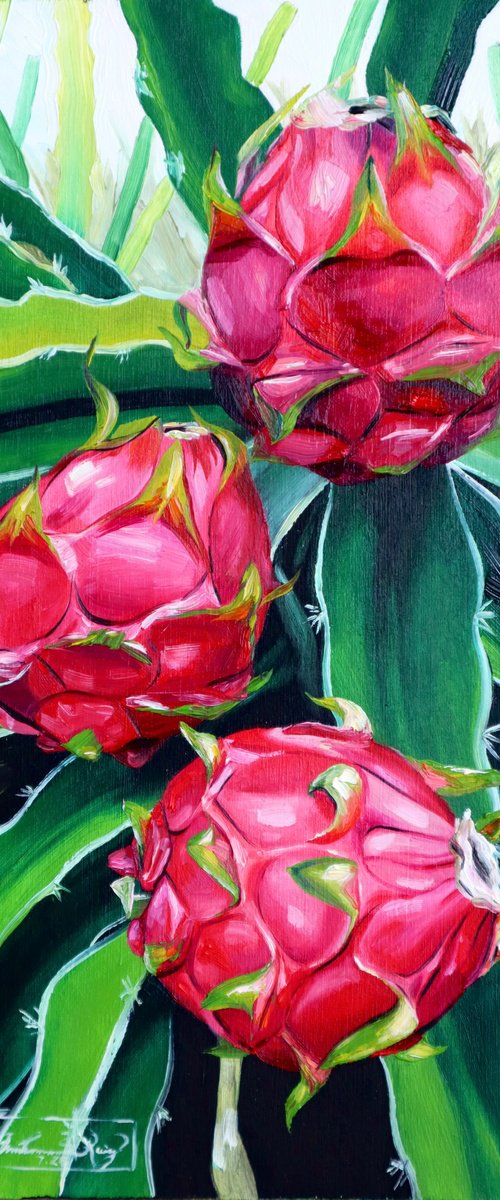 Dragon Fruit by Amani Muhammad