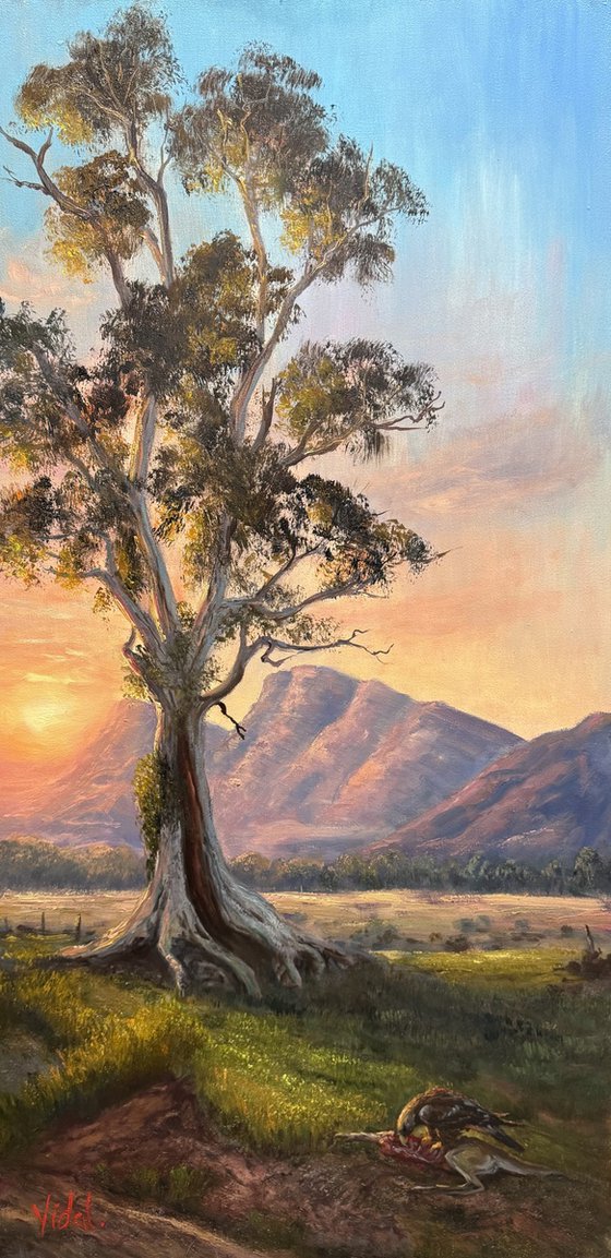 Beneath the River Red Gum