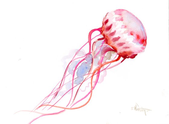 Jellyfish