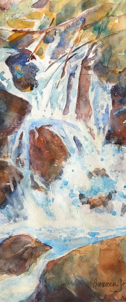 The Falls by Bronwen Jones