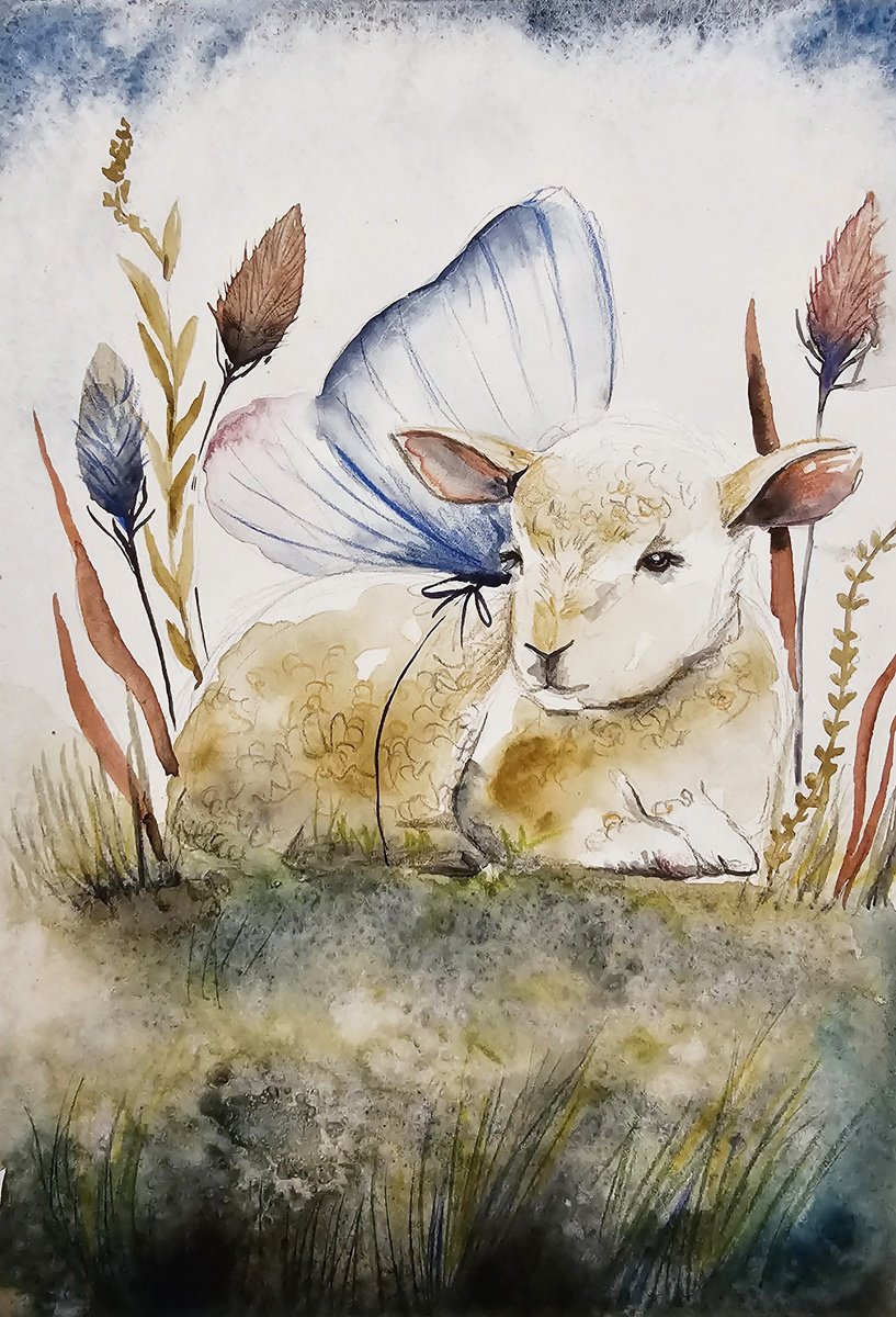 Little lamb by Evgenia Smirnova