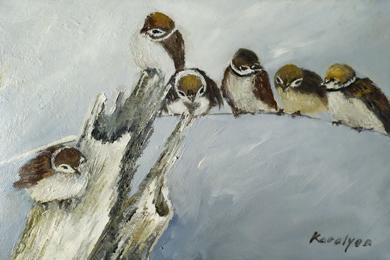 Sparrows