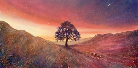 100x50cm Art Print - Stars & Light Over Sycamore Gap