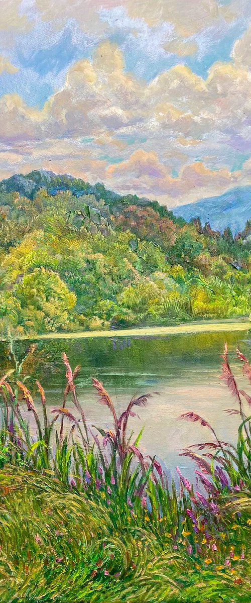 Mountain Lake Surrounded by Flowering Grasses by Aleksandr Dubrovskyy