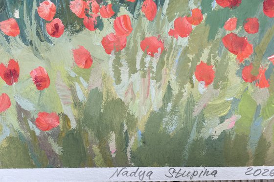 Olive trees in the poppy field . Occitanie.