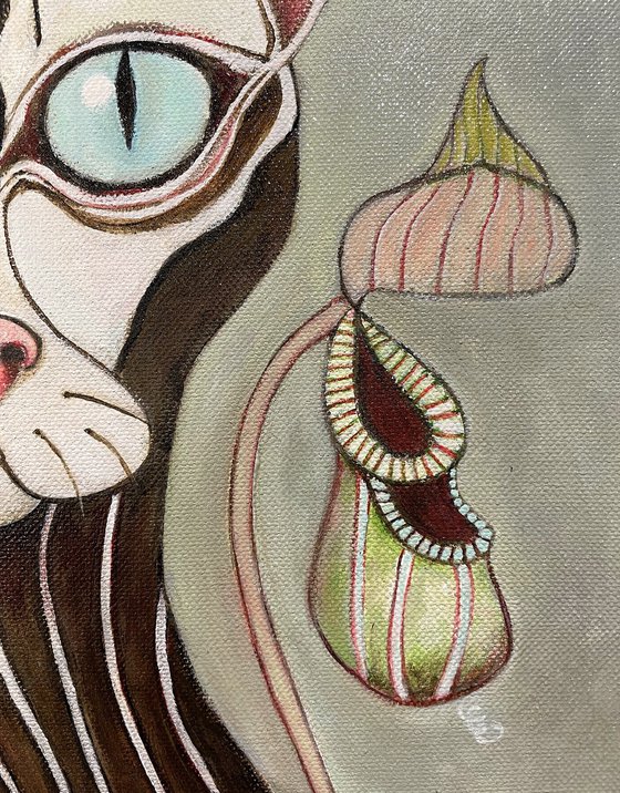NEPENTHES CAT